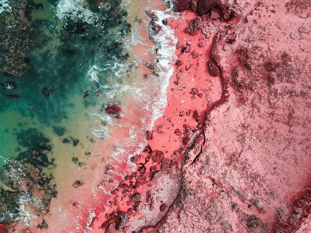 An aerial image of a pink coastline with blue water. This reflects the topic of gender reveal parties in the article.