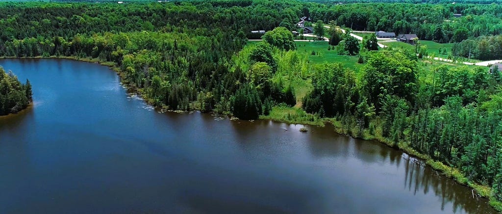 Curleys Lake in Ontario with lakefront access with trees