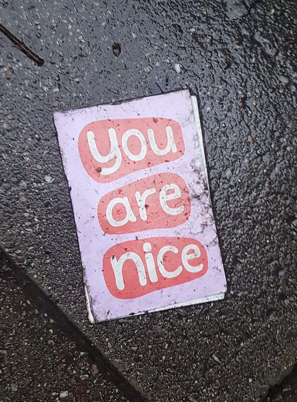 a card discarded on a rainy street that says “you are nice” in white letters on a red and pink background