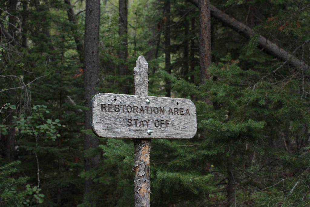 A photo of a grey wooden sign in a forest that says “Restoration Area Stay Off”.