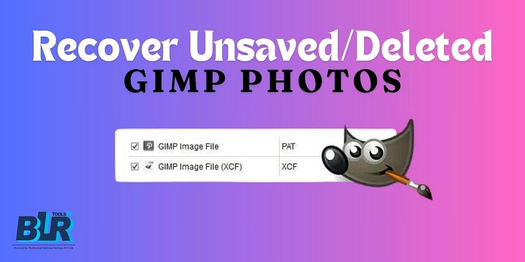 Recover Unsaved/Deleted GIMP Photos