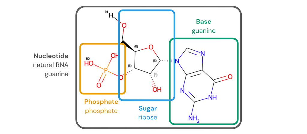 Labeled chemical structure of the natural RNA nucleotide guanosine monophosphate. The phosphate is highlighted in a box labeled “phosphate”. The sugar is highlighted in a box labeled “ribose”. The base is highlighted in a box labeled “guanine”.
