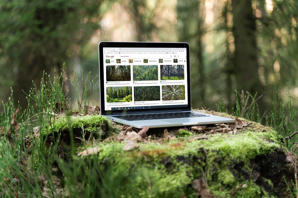 An open laptop standing on a moss-covered tree stump in the forest. The display shows a Google search results page with images of forests.