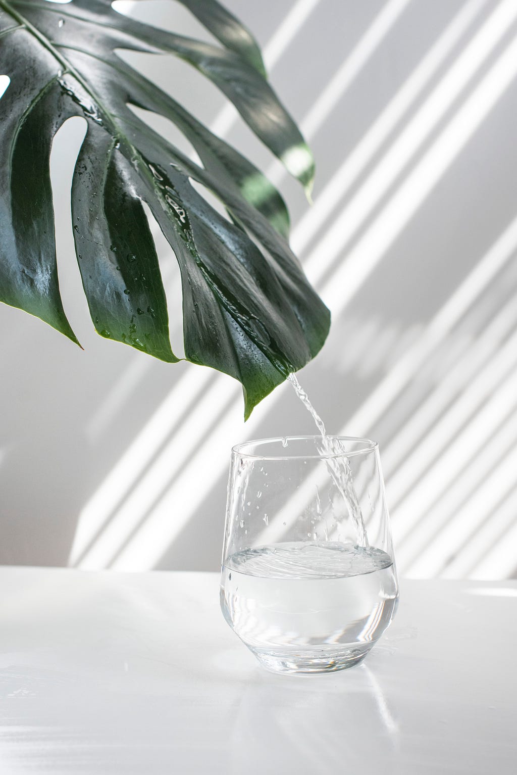 Glass of water with plant in background to enhance mental wellbeing