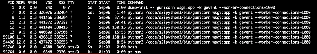 Command line output: Initial process list before sending USR2 signal