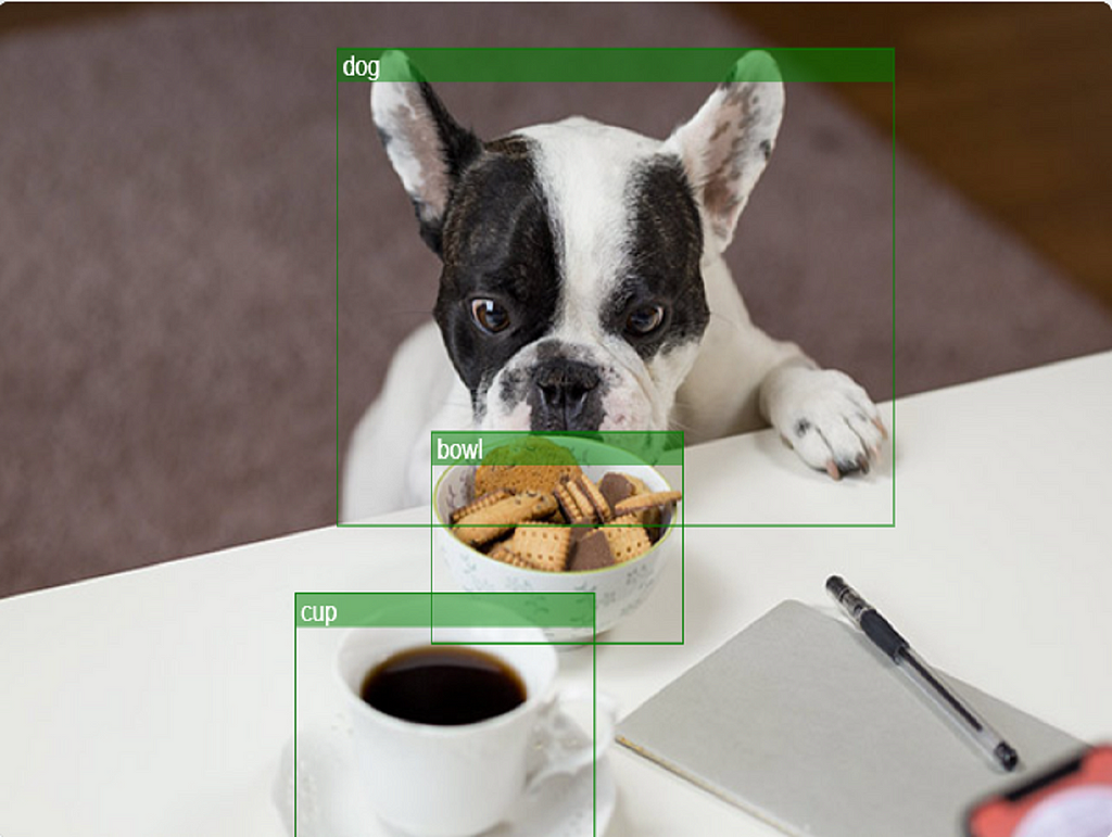 Object detection in the image using TensorFlow in NextJS