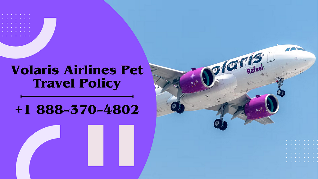 Want to travel with your pet, then contact the customer service of Volaris Airlines for better understanding.