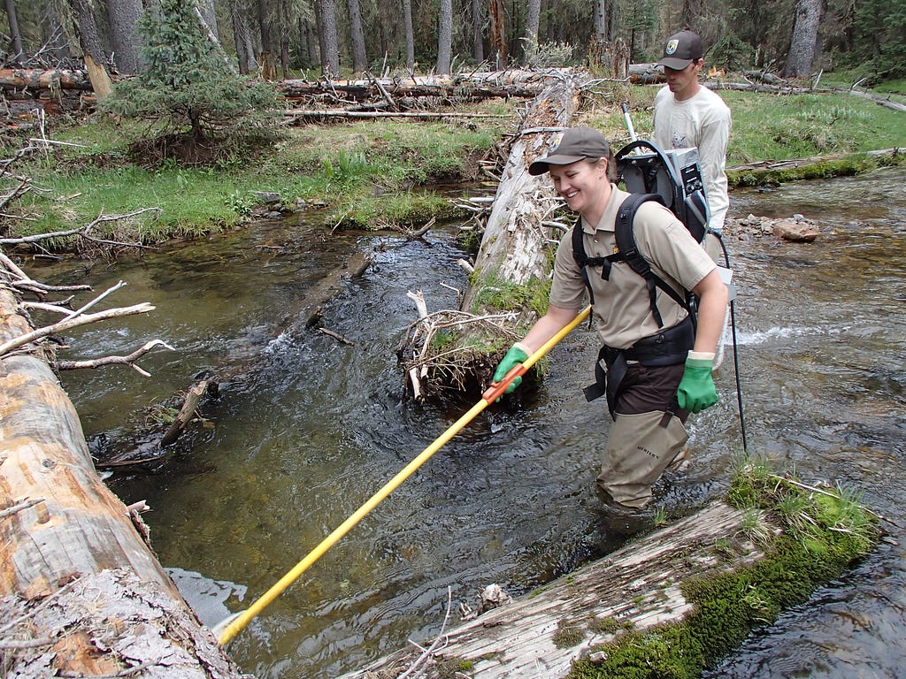 Women wading through water while holding an electrofishing device