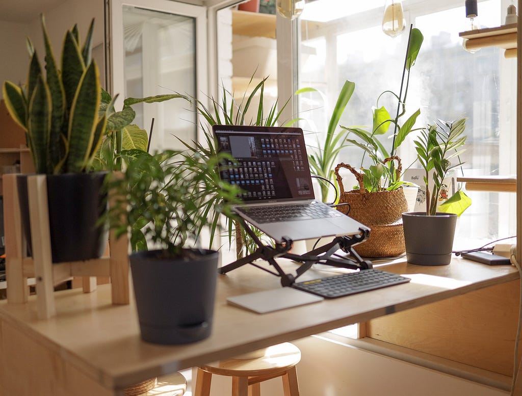 Software Engineering working from home with his mini garden setup