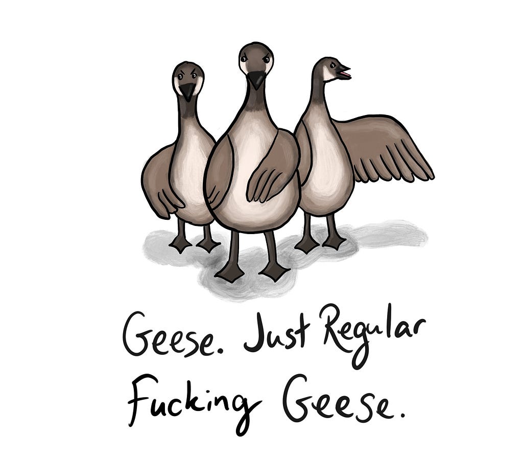 Geese. Just regular fucking geese.