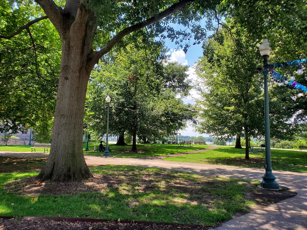 Beautiful tree groves at Fourth Bluff Park, a Memphis riverfront park.