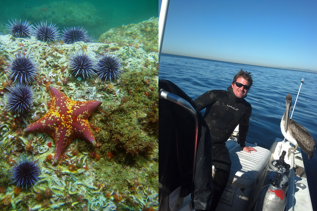Left: a mottled starfish lies near small sea urchins. Right: Josh, in diving suit and sunglasses, poses on boat with pelican.