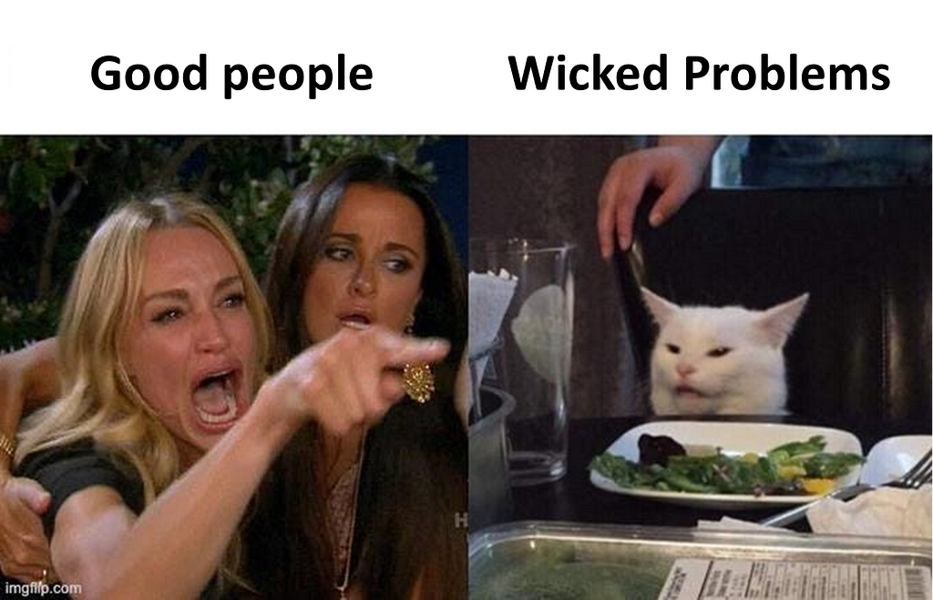 Popular meme of women shouting at a surprised cat. Text reads Good People Wicked Problems