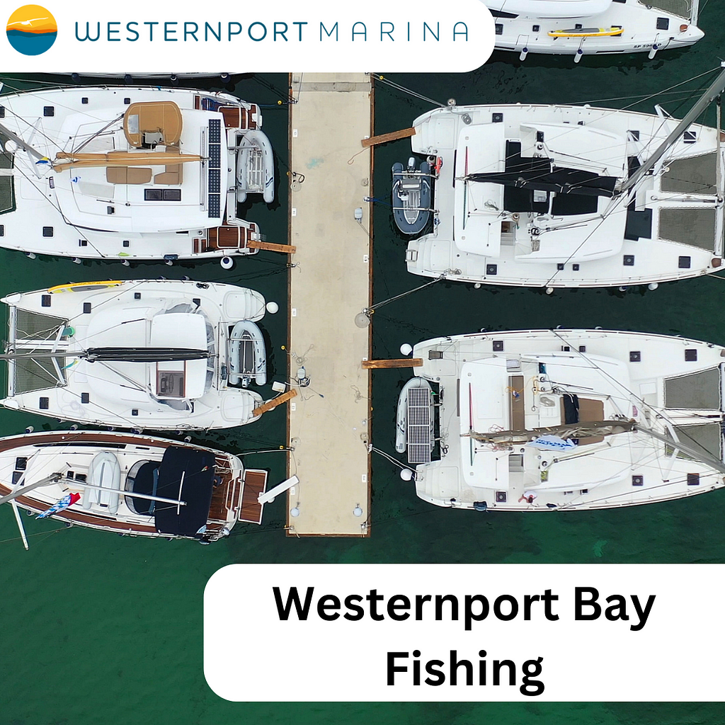 western port bay fishing