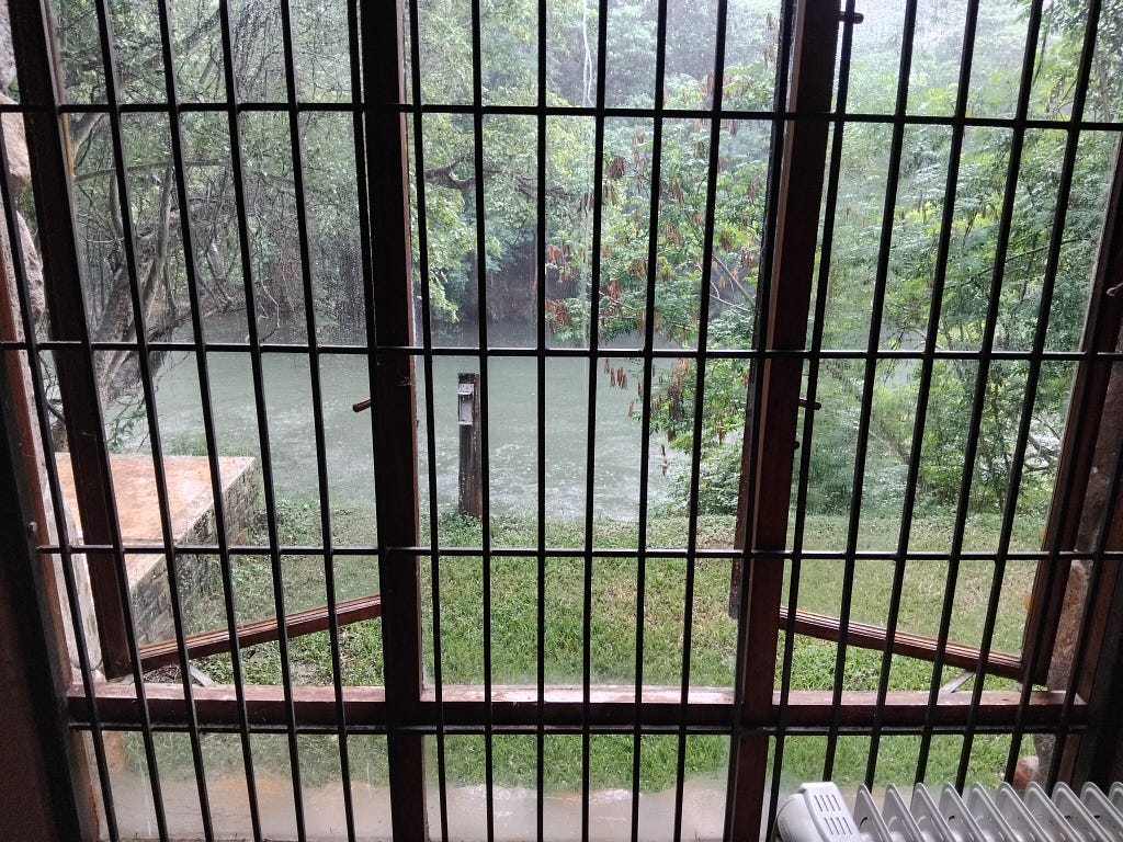 A view of a river and trees through burglar bars in front of a window