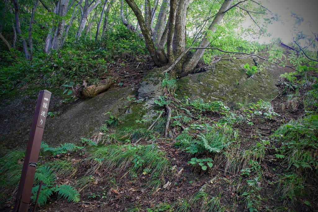 A steep rock face in the middle of a forest that even wild monkeys are said to struggle climbing up.