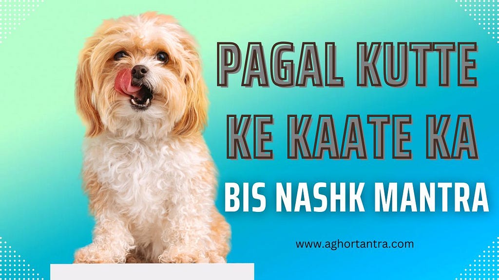 Pagal Kutte Ke Kaate Ka Bis Nashk Mantra