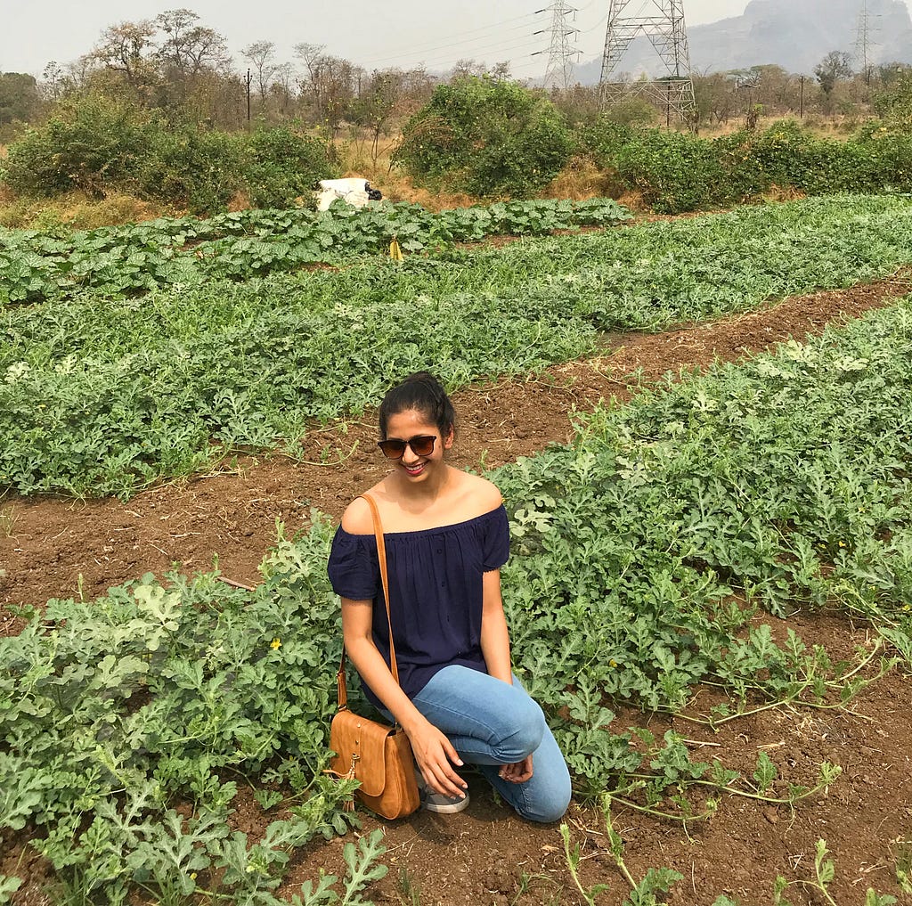 Watermelon farm, Maharashtra