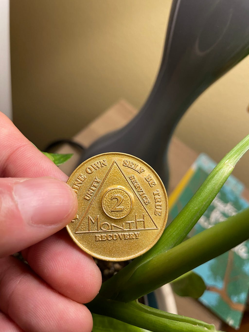 An Alcoholics Anonymous golden 2-month chip held next to a houseplant