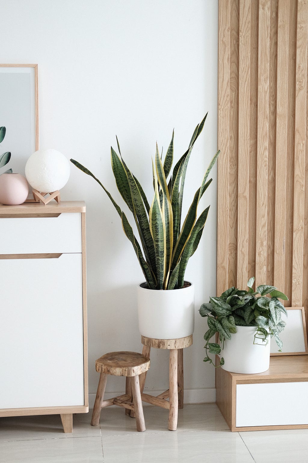 Biophilic Design- Home decor trending in 2020