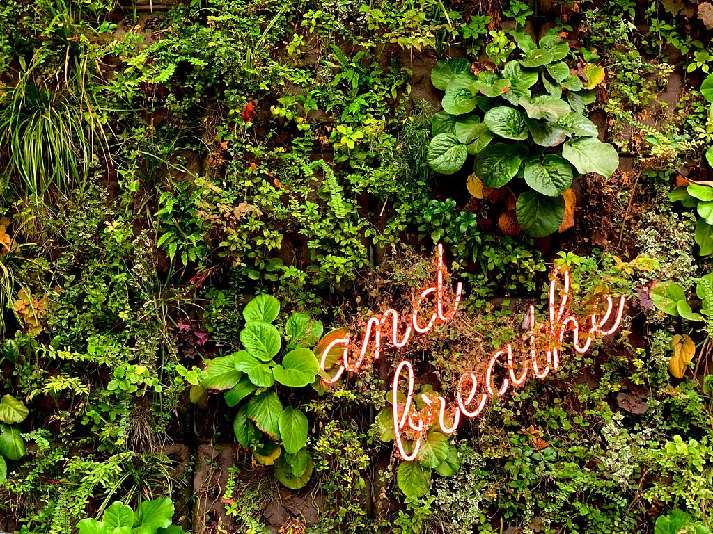 A wall of assorted green plants and a pink neon sign that says “and breathe.”