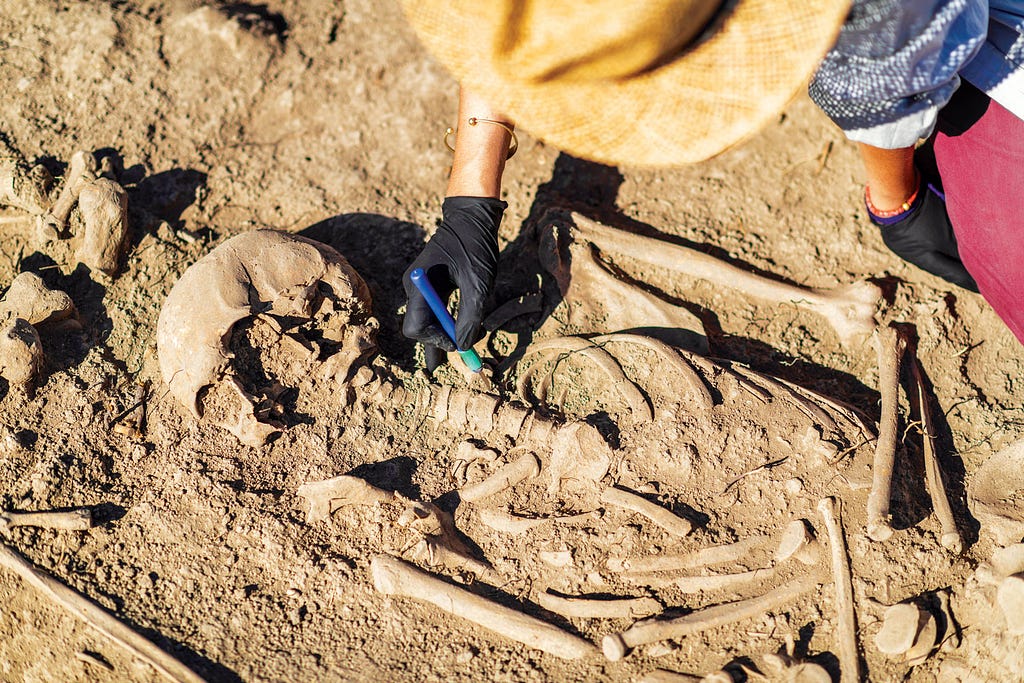 Photo of a skeleton being excavated.