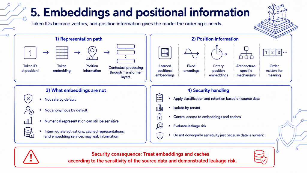 Token embeddings and positional information