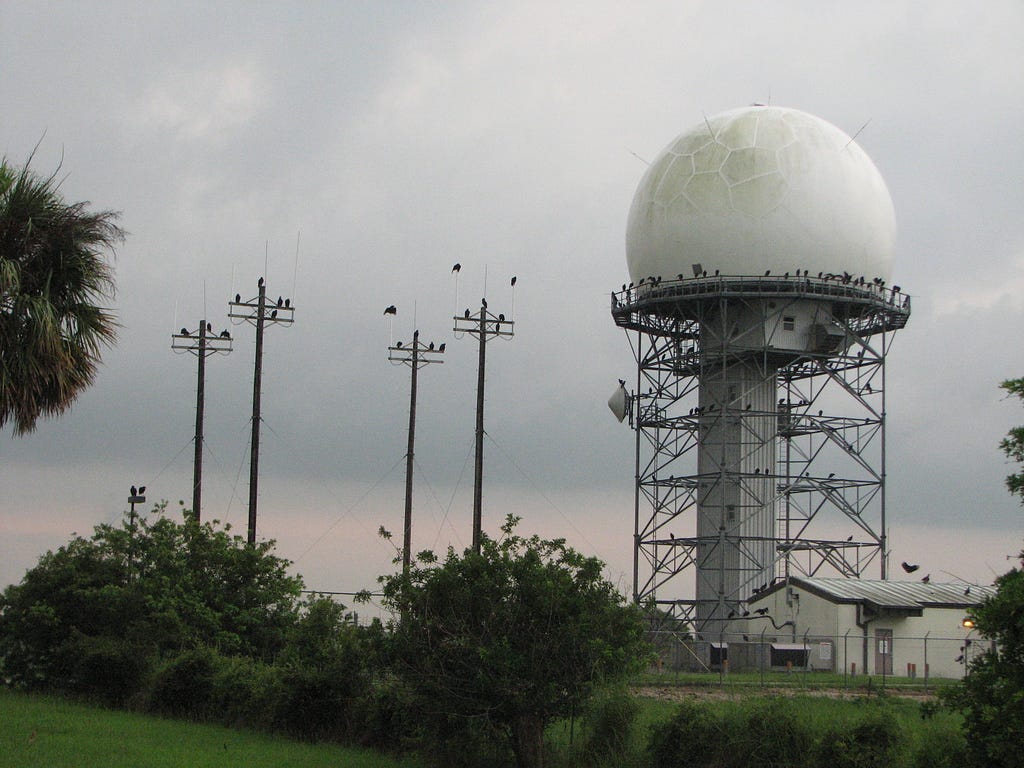 Birds on an air traffic control tower.