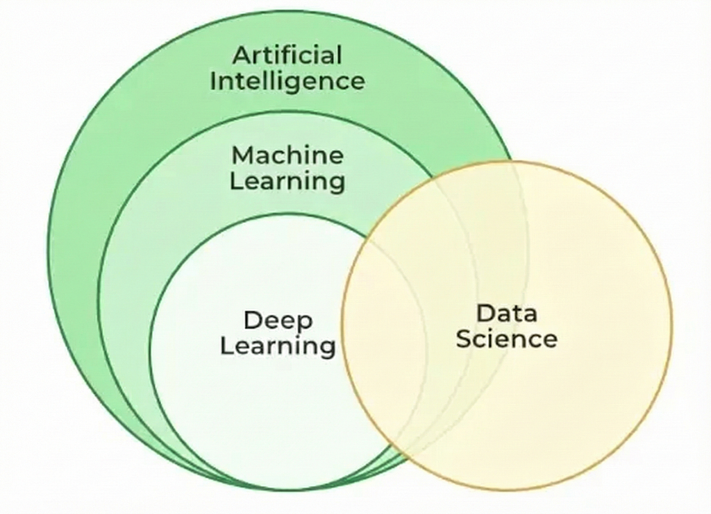 Deep Learning Series 00: Introduction, Types, Compare with ML and History