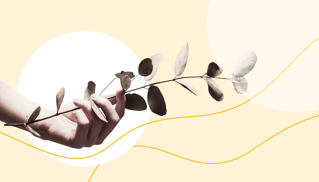 A collage depicting a hand delicately holding a plant surrounded by abstract shapes in warm colours.