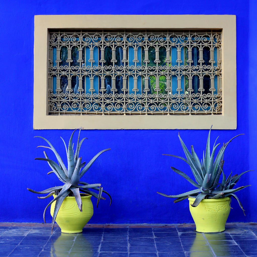 Bright blue colored wall with beige window and Aloe Vera plants in yellow flowerpots.
