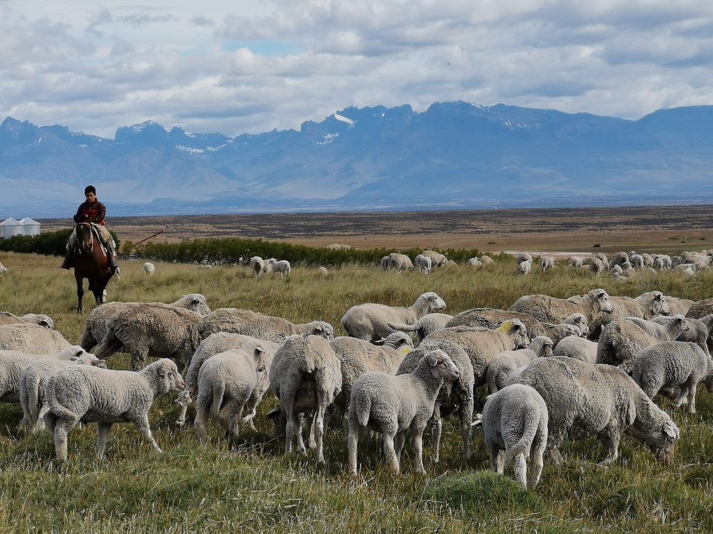 Santa Cruz, Patagonia Argentina