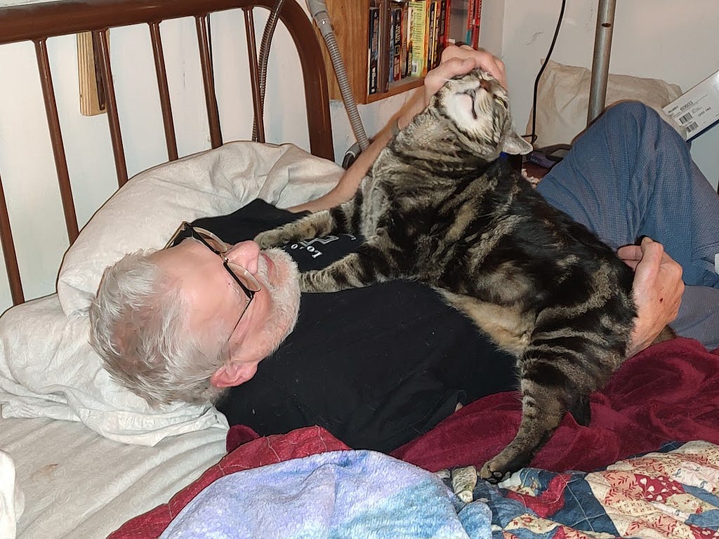 Our tabby Gus enjoys an ear massage from hubby Ted, both of them sprawled across the bed