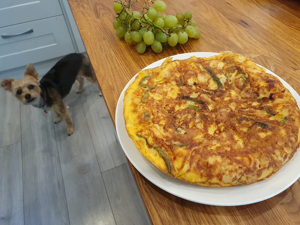 My dog Luna has come to the kitchen attracted by the smell of the freshly cooked omelette. The omelette appears on the right to the picture on a white plate. Some green grapes can be seen at the top of the picture, on the same worktop as the omelette.