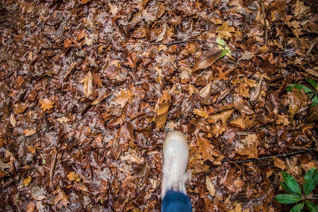 A foot on fallen leaves