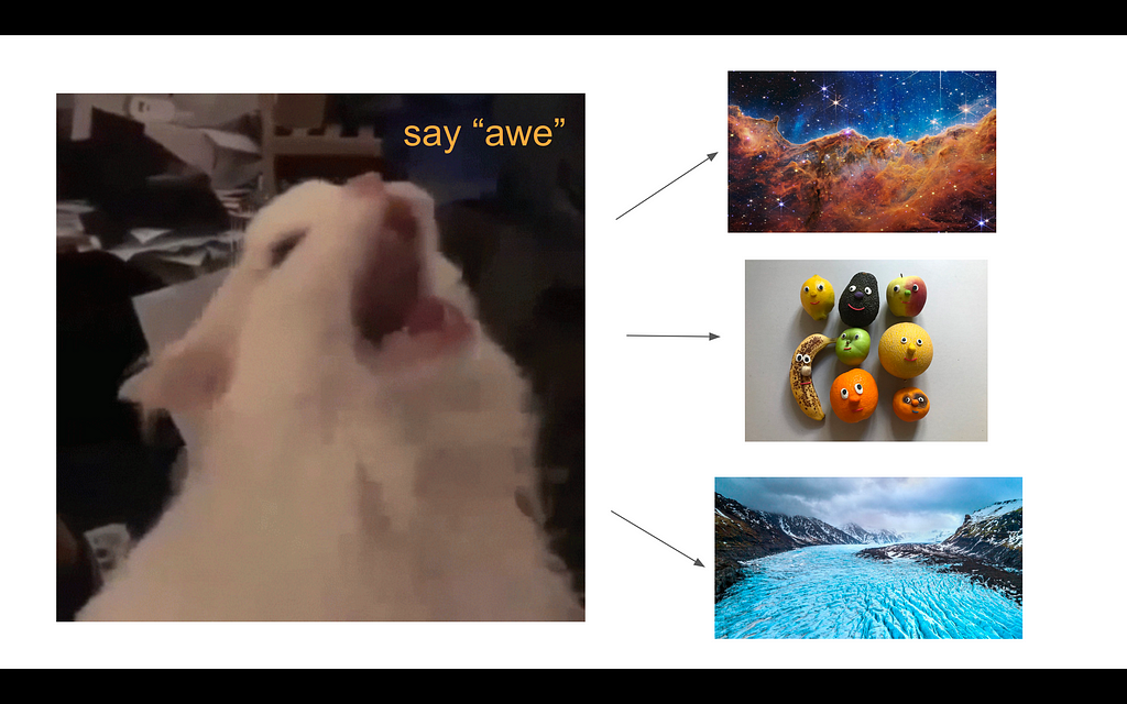 Image of a cat saying “awe.” To the right, three arrows point to three images: a galaxy, fruit with googly eyes and a glacier.