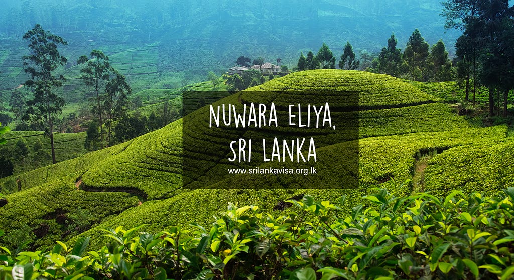 Sri Lanka ETA visa application