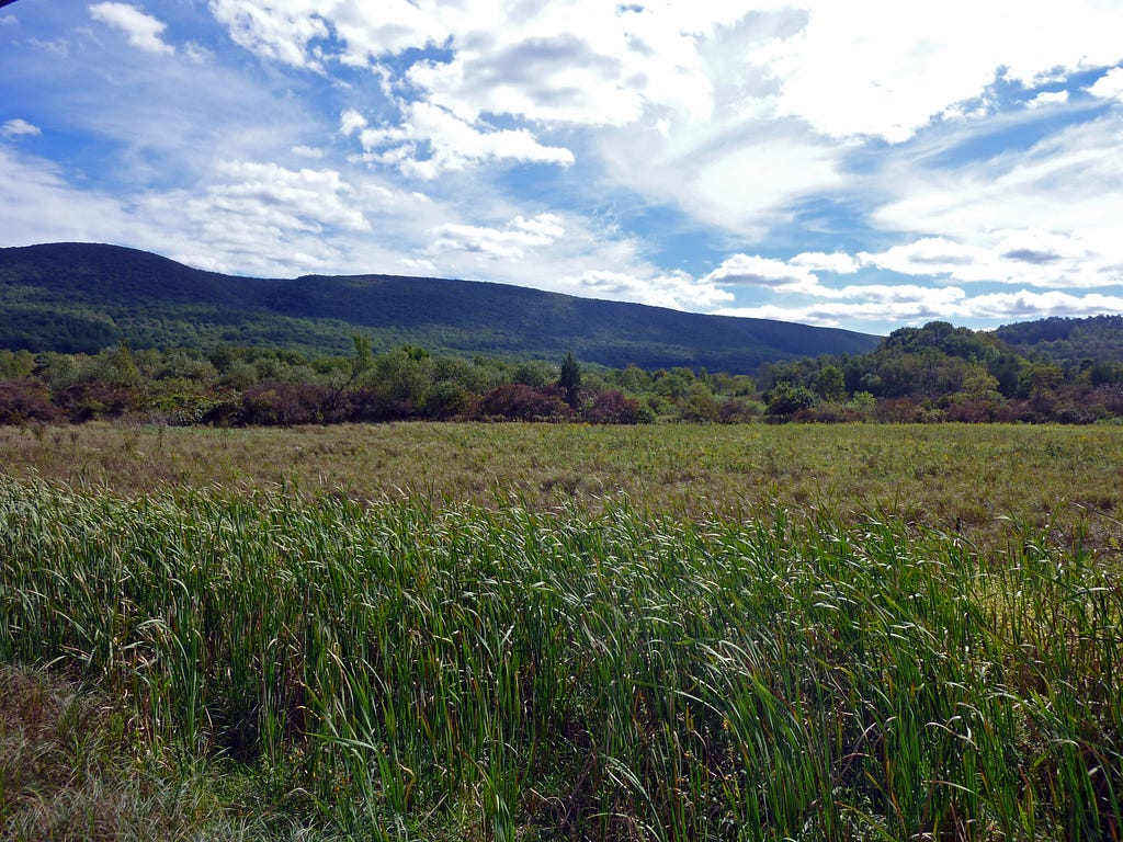 A grassland and mountainous landscape under a blue cloudy sky