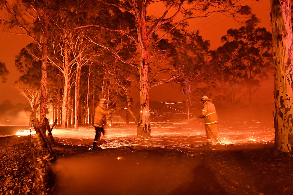 Timed-exposure image that shows firefighters hosing down trees as they battle against bushfires