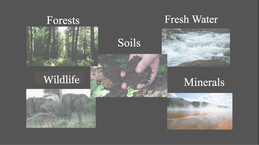 things like forests, fresh water, wildlife, soils and minerals — that may be called the “Things-We-Extract”
