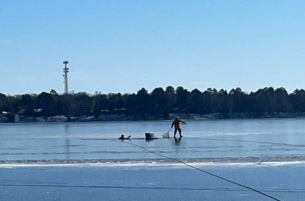 A volunteer firefighter stands on the ice holding a net while a second firefighter is in the small hole of water attempting the loon rescue