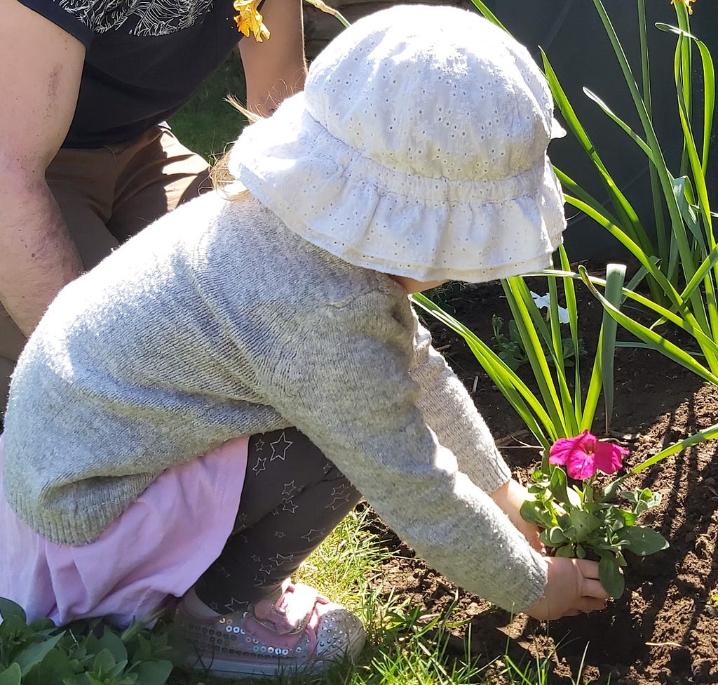 An interviewee’s 3-year-old daughter helping her dad plant a flower in their garden