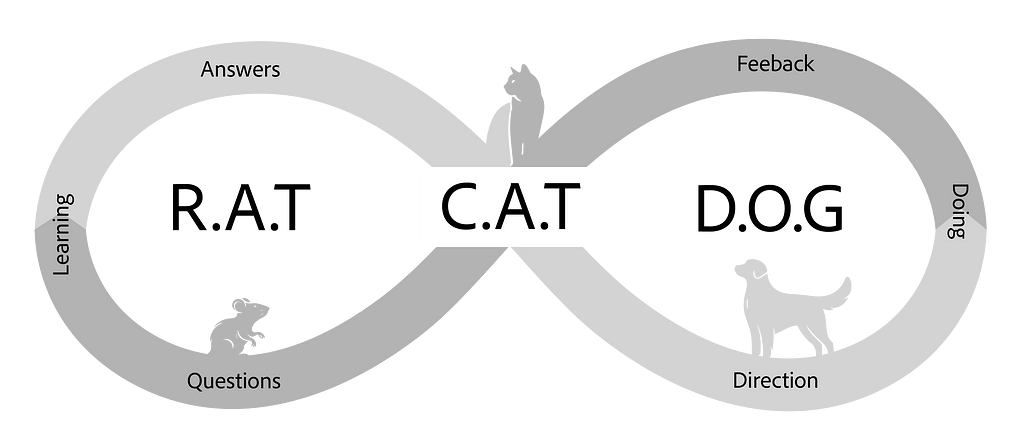 infinity diagram of the RAT CAT and DOG