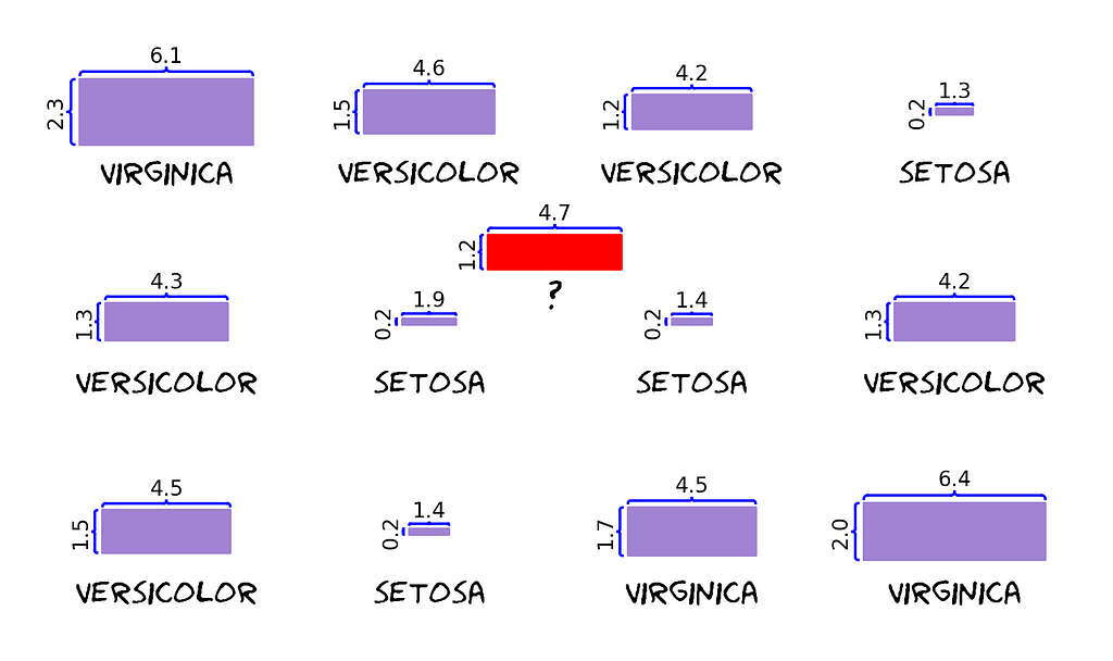 Mesmo catálogo, mas com uma pétala nova que está sem espécie. Ela tem um tamanho intermediário, provavelmente versicolor.