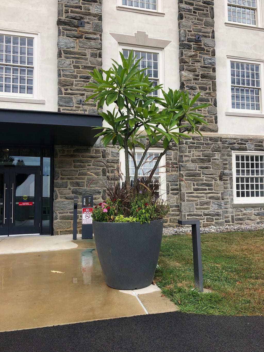 Full view of planter in the rain taken on September 26th, 2019