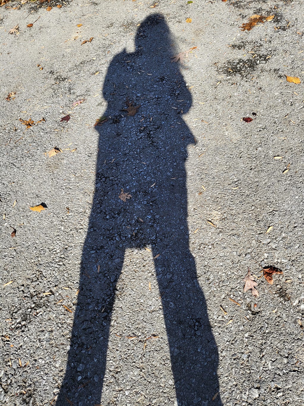 The author’s shadow as she stands still on the driveway pavement.