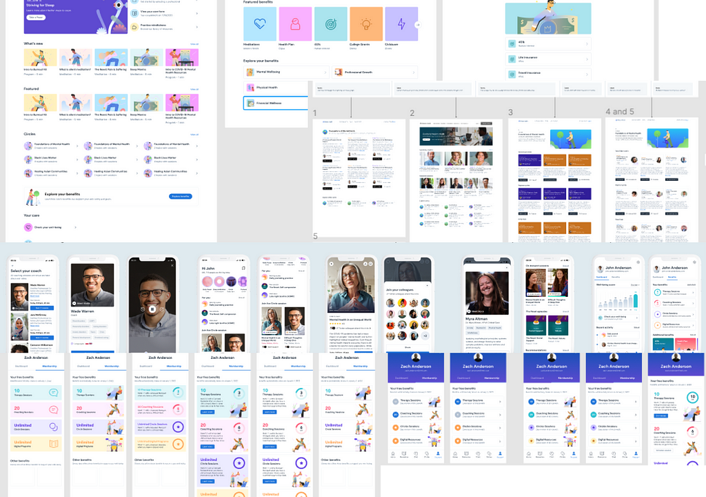 Screenshots of our in-progress and visionary product design that pushed color use to new levels.