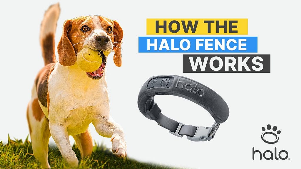 halo invisible fence review