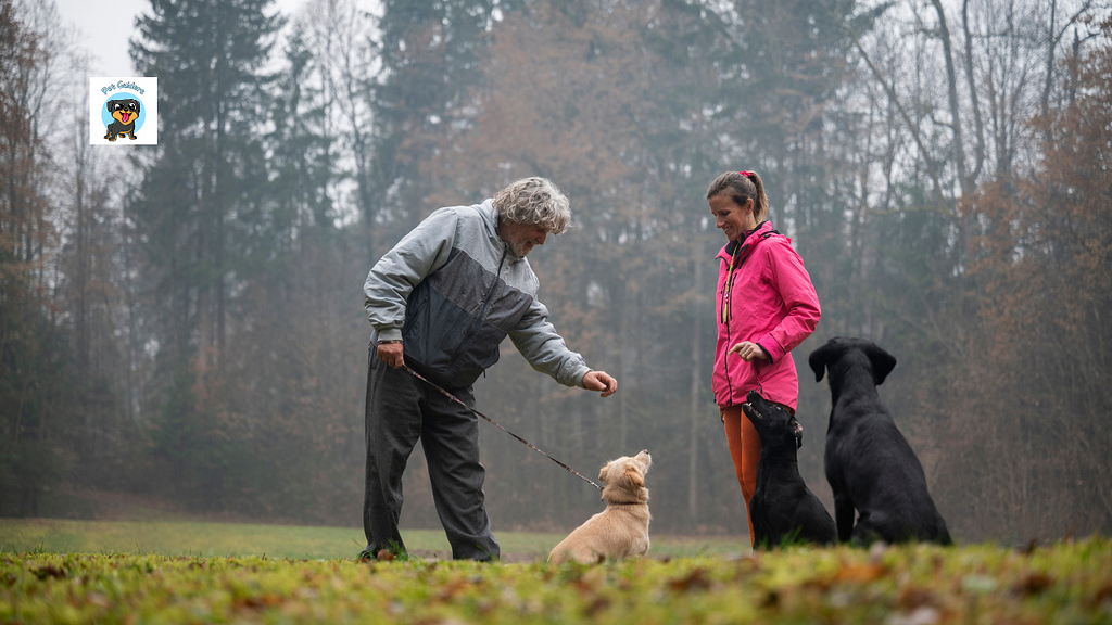 How do dogs or puppies know who’s their owner