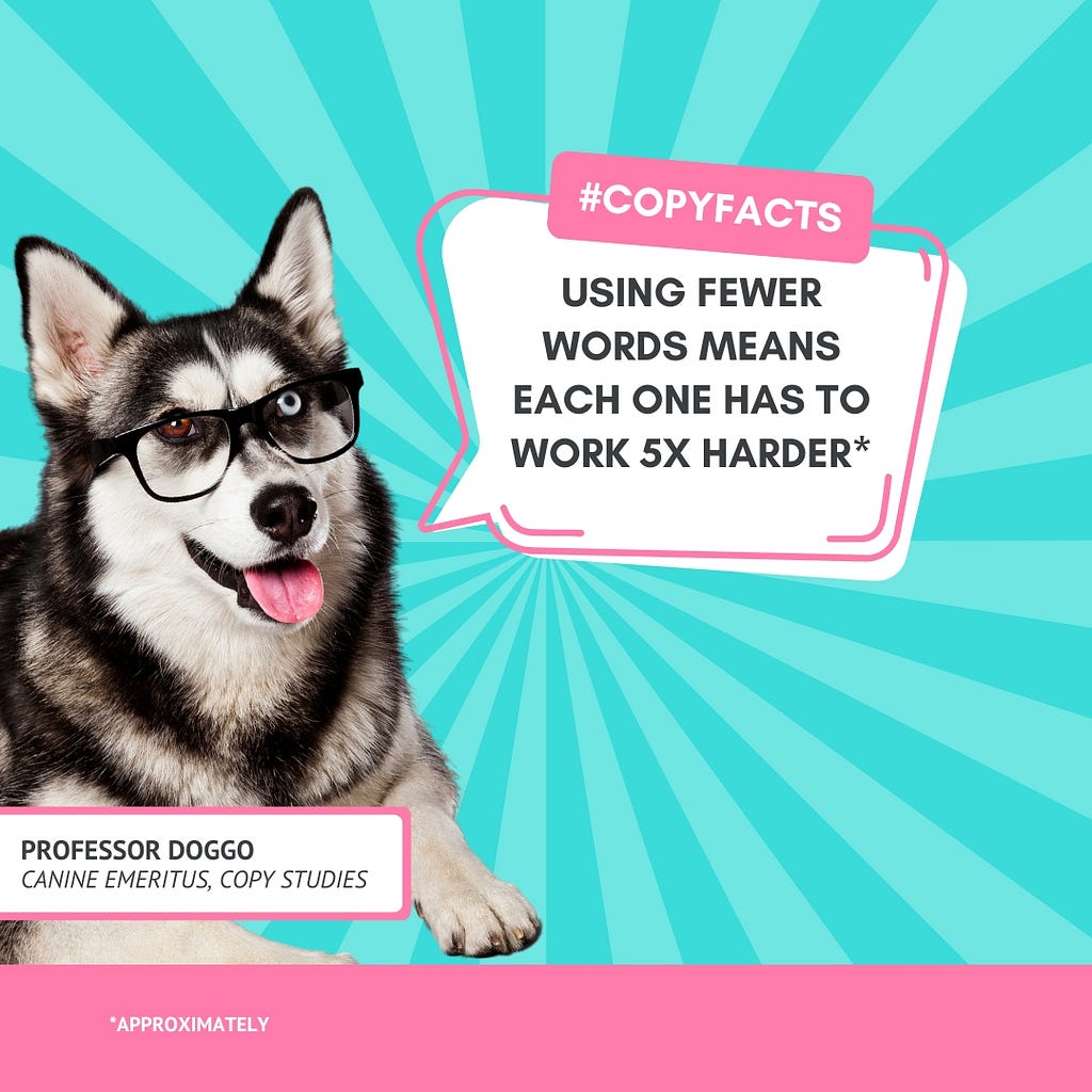 Professor Doggo, Canine Emeritus, a husky with glasses, says using fewer words means each one has to work 5X harder (approximately)